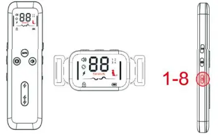 Fdceligoo FDDTC001 Dog Training Anti Bark Collar - trainning1