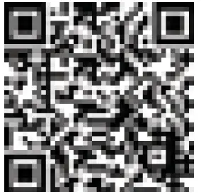 TRUPER-DES-430-DES-520-Gas-Brushcutter-1