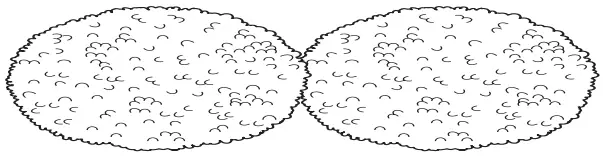 Shark S7000 Series Steam and Scrub All In One Scrubbing and Sanitizing Hard Floor Steam Mop - ACCESSORIES 3