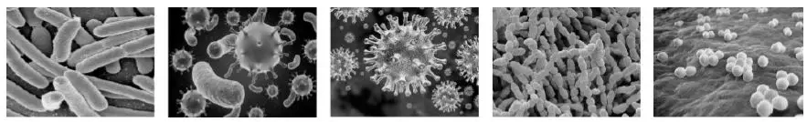 CIMR-TECH-CIMR-414-Active-Air-and-Surface-Pathogen- (1)