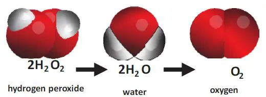 CIMR-TECH-CIMR-414-Active-Air-and-Surface-Pathogen- (2)