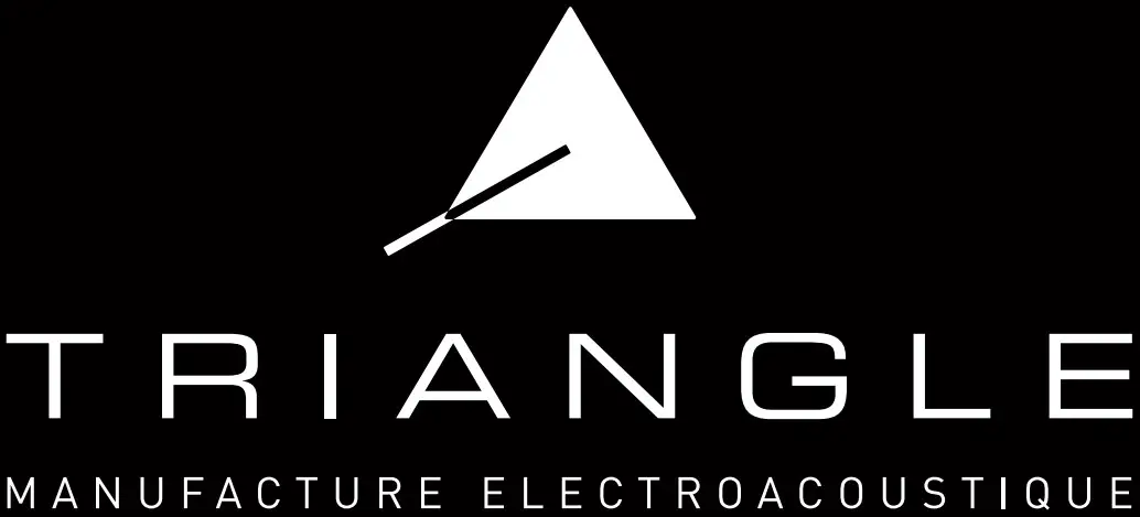 Triangle logo