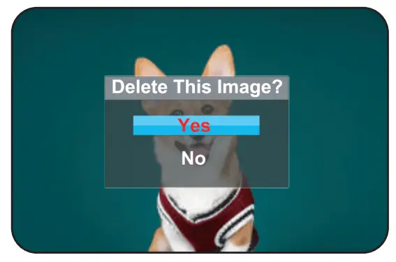 Bifevsr B0BZJH38Y4 4K Digital Camera with Viewfinder Flash - Imagr2