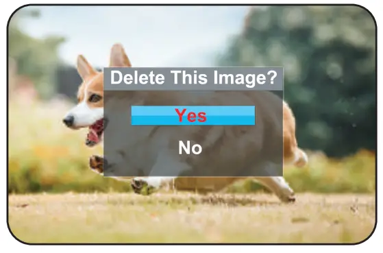 Bifevsr B0BZJH38Y4 4K Digital Camera with Viewfinder Flash - Videos 2