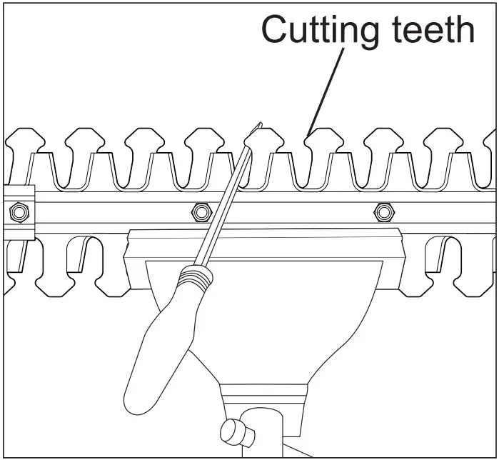 Cutting Teeth