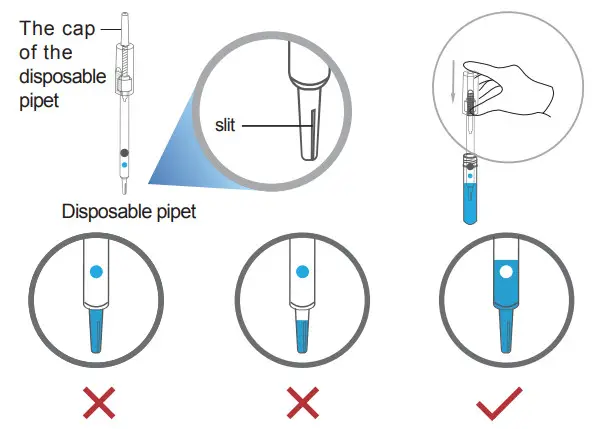 Getein Biotech Estradiol Fast Test Kit