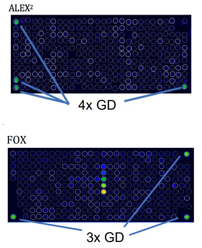 IMAGE PLORER Macro Array Diagnostics - CONTROL