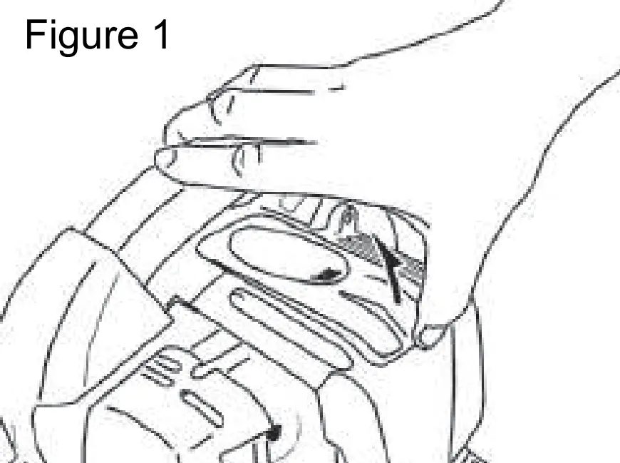 Inspection And Maintenance