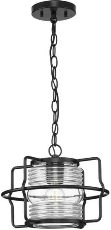 PROGRESS LIGHTING P550134-31M 1 Light Matte Black Clear Glass Coastal Outdoor Hanging Lantern