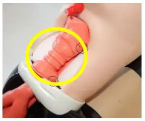 trucorp-CC50006X-AirSim-Child-Combo-Bronchi-X-1