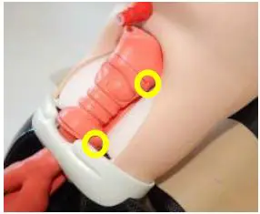 trucorp-CC50006X-AirSim-Child-Combo-Bronchi-X-2