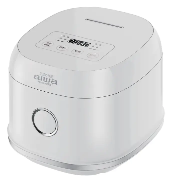 aiwa RC6 II Multi-Functional Cooker
