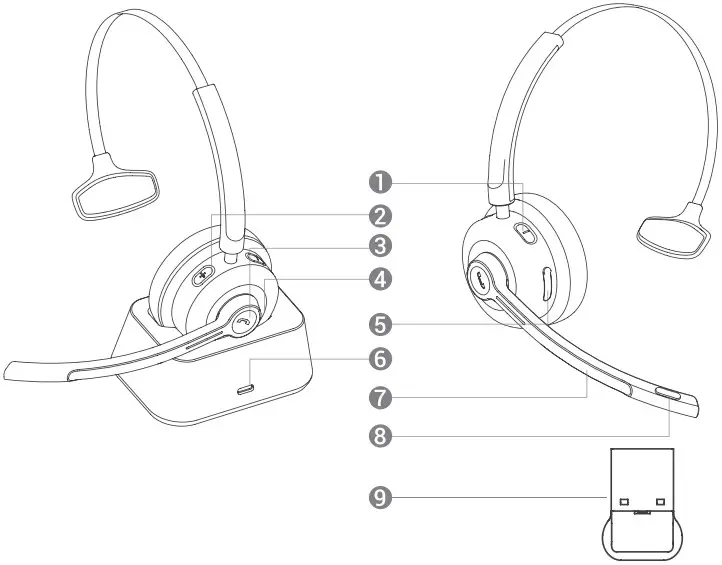 Product Illustration