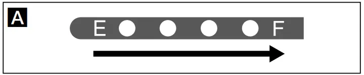 Sony-NP-QM91D-InfoLithium-M-Series-Rechargeable-Battery-Pack-fig-1