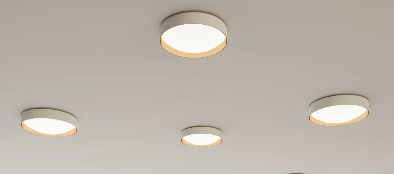 Bega 51 215.5 Ceiling Luminaire Instruction Manual