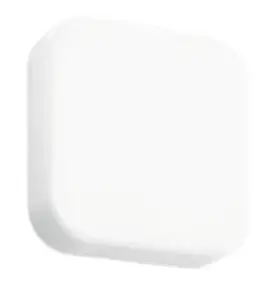 BEGA-50-310-Ceiling-and-Wall-Luminaire-PRODUCT