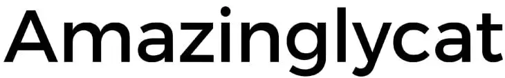 AmazinglyCat-logo