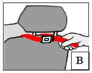 medifab-Carrot-XL-Car-SeaT-FIG 4