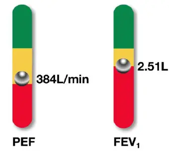 Activ8rlives-SmartOne-Peak-Flow-App-FIG-6