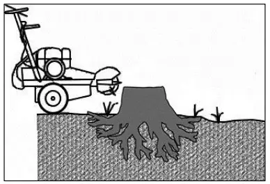 Procedure for Cutting the Stump
