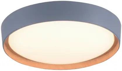 Paul Neuhaus 836653 Smart Home Lights A0