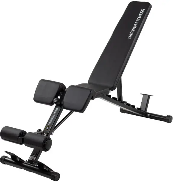 Darwin FB60 Weight Bench