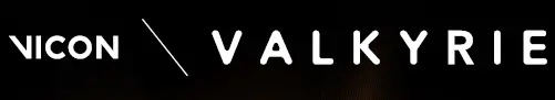 vicon-loog