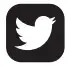 Twitter Icon