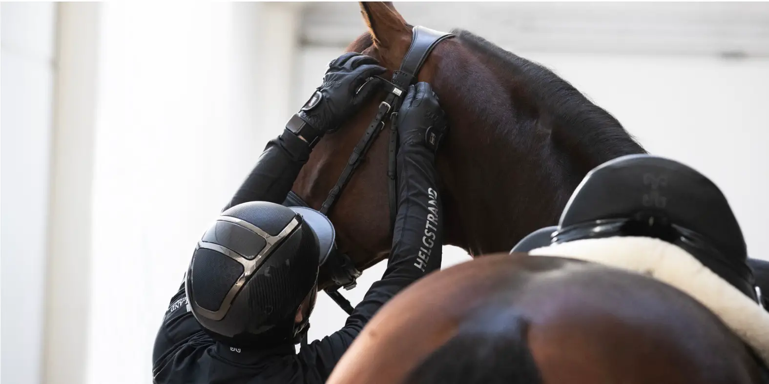 RUXBURY EM1 Equestrian Heart Rate and Motion Monitor - Figure 2