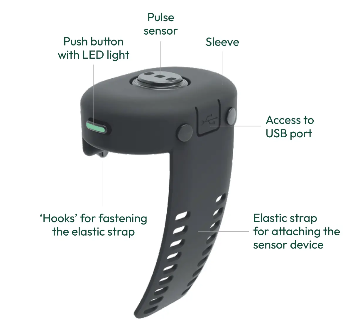 RUXBURY EM1 Equestrian Heart Rate and Motion Monitor - Overview