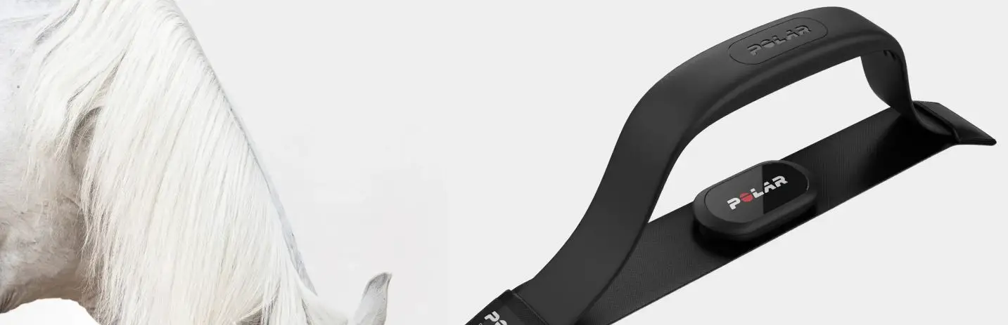 Ruxbury Em1 Equestrian Heart Rate And Motion Monitor User Guide