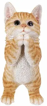 enabling-9237-Tabby-Kitten-PRODCUT