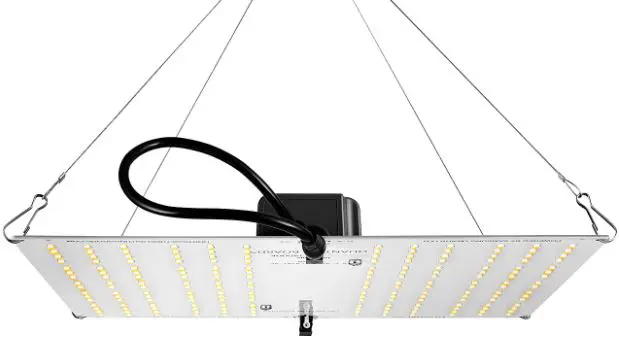 Horticulture-Lighting-Group-HLG-100-V2-High-Efficiency-White-Light-Quantum-Boards-product-image
