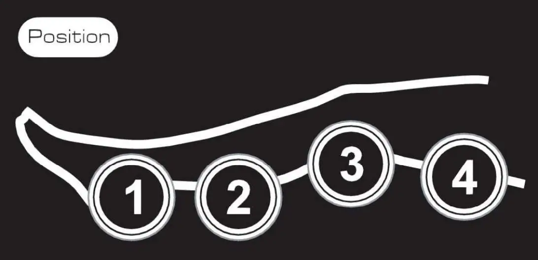 Richmar DVTREX-L - Potion setting