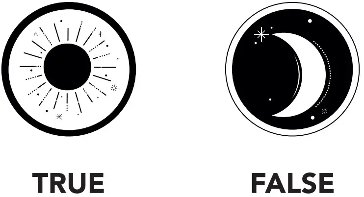 true or false player