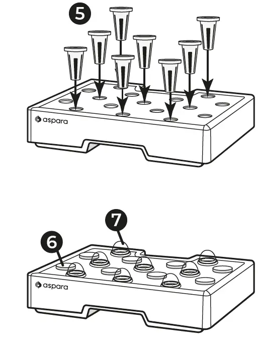aspara-GS1003A-Nature-Hydroponic-Indoor-Smart-Grower-06