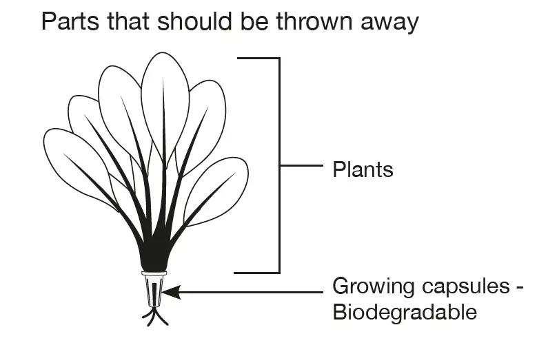 aspara-GS1003A-Nature-Hydroponic-Indoor-Smart-Grower-17