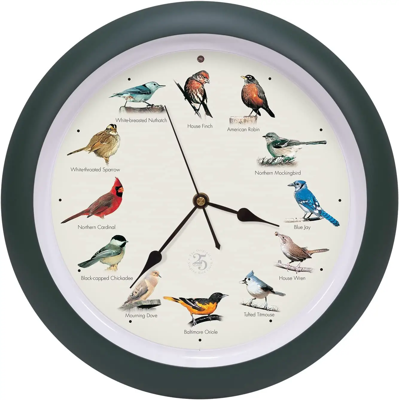 Mark Feldstein Associates B0B8QVZB58 13 Inch 25th Anniversary Singing Bird Clock