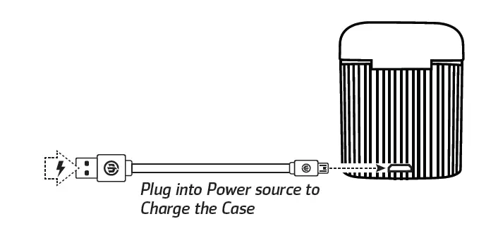 CHARGING THE CASE