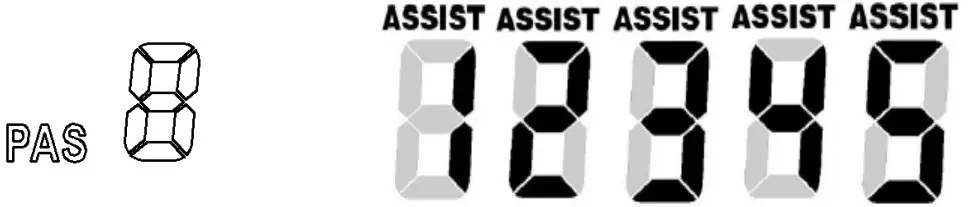 During the operation