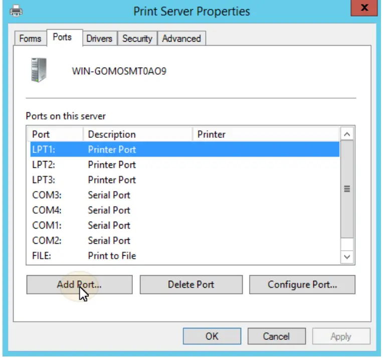 Print server properties