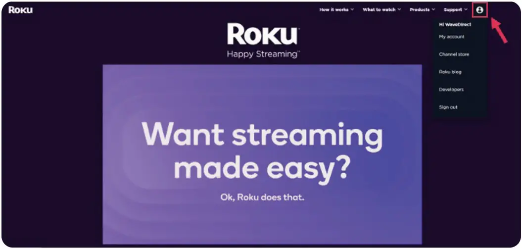 Roku Media Player Streaming Stick - account and settings