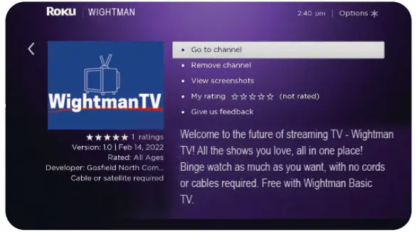 Roku Media Player Streaming Stick - home button