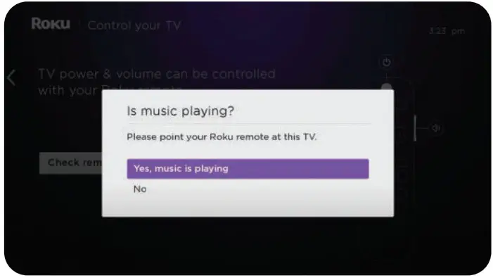 Roku Media Player Streaming Stick - should hear the music
