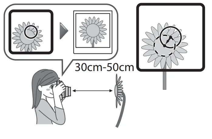 FUJIFILM SQ 40 Instant Camera - Sutter