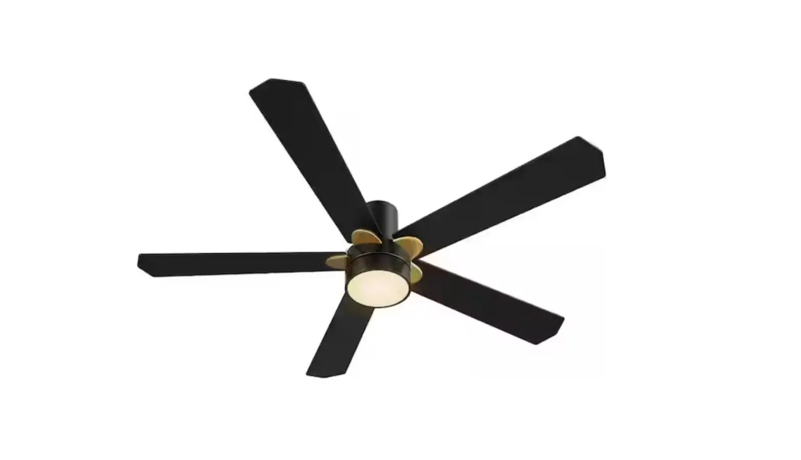 Carro Hs525e2 Led Indoor Outdoor Black Dc Motor Smart Ceiling Fan Instruction Manual