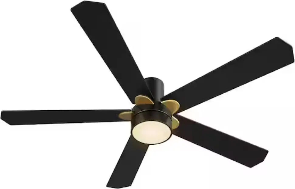 CARRO HS525E2 LED Indoor Outdoor Black DC Motor Smart Ceiling Fan