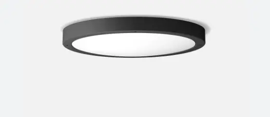 BEGA-50-144-1-Ceiling-and-Wall-Luminaire-product