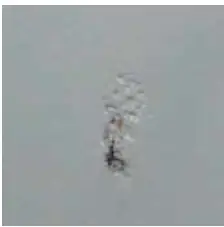 SEA EAGLE-375FC-2-Person-Inflatable-Fishing-Boat-40