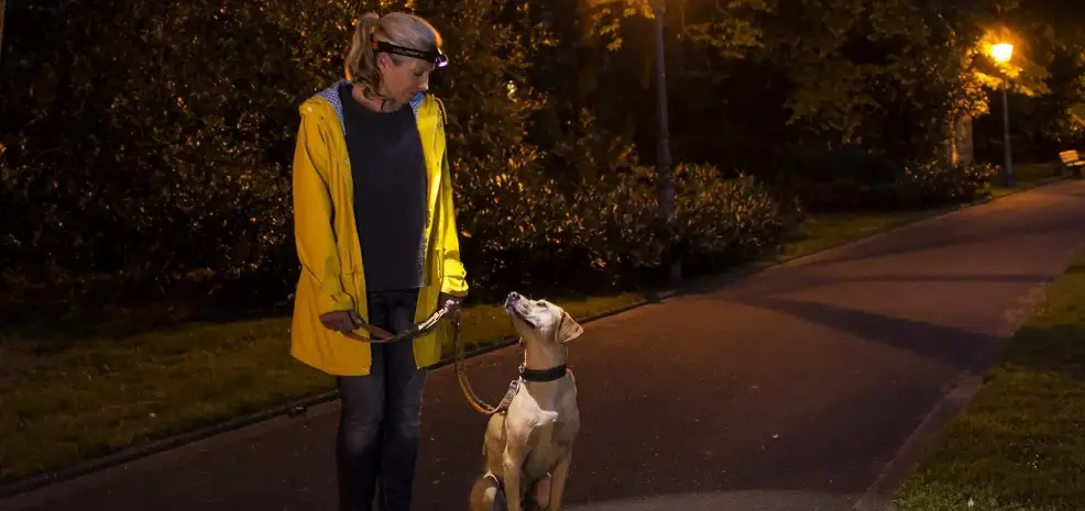 Ledlenser Hf8r Series Headlamp Instruction Manual Ledlenser Hf8r Series Headlamp Instruction Manual